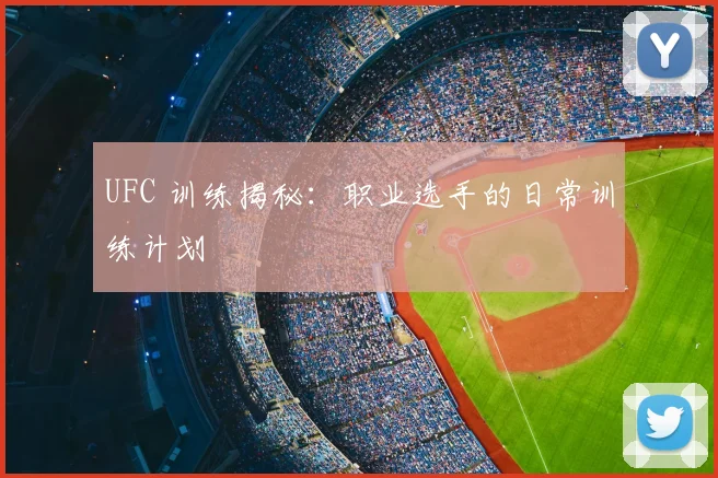 UFC 训练揭秘：职业选手的日常训练计划