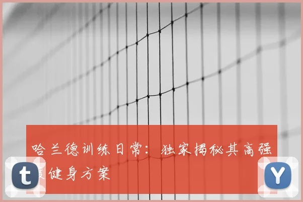 哈兰德训练日常：独家揭秘其高强度健身方案