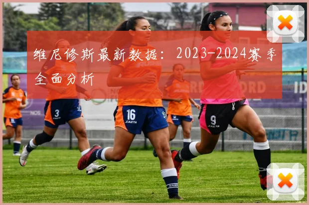 维尼修斯最新数据:2023-2024赛季全面分析