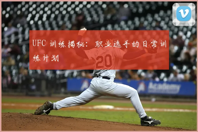 UFC 训练揭秘：职业选手的日常训练计划